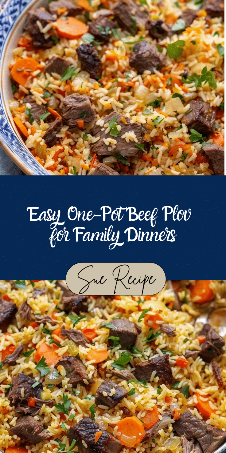 Ukraine Rice Beef Plov Recipe (Ukrainian Rice Pilaf) | Sue Recipe