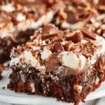 Mississippi Mud Cake