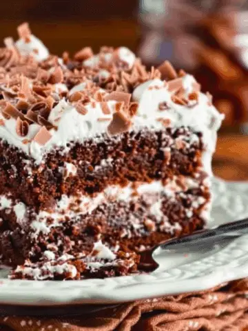 Mississippi Mud Cake