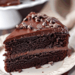 Ooey Gooey Chocolate Insanity Cake