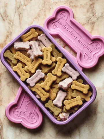 Dog Ice Cream