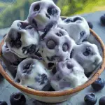 Frozen Yogurt–Dipped Blueberries