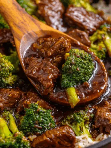 Savory Crock Pot Beef and Broccoli