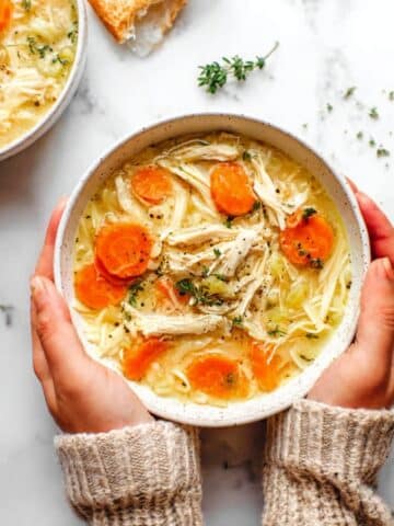 Homemade Chicken Noodle Soup Recipe