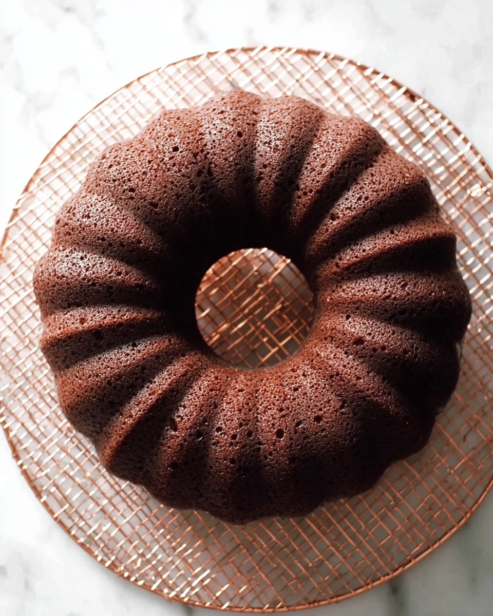 A single-layer chocolate bundt cake with a deep brown color and a slightly rough texture with small holes, shaped with a wide ring and ridged edges, sits on a shiny copper cooling rack that has a grid pattern, all placed on a white marbled surface, photo taken with an iphone --ar 4:5 --v 7
