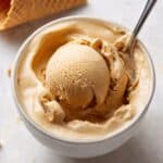 Dairy-Free Ninja Creami Pumpkin Ice Cream Recipe