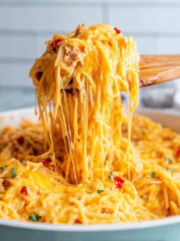 Rotel Chicken Spaghetti Recipe