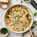 Easy One Pot Chicken Orzo Recipe