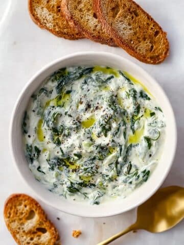 Spinach Cottage Cheese Dip Recipe