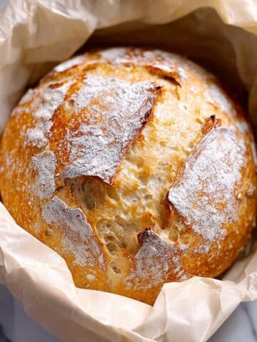 Dutch Oven No Knead Crusty Bread Recipe