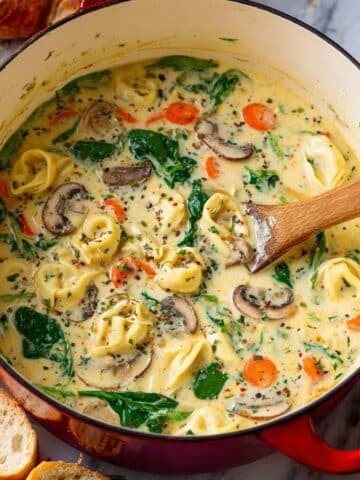 Creamy Chicken, Spinach and Mushroom Tortellini Soup Recipe