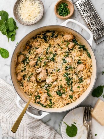 One Pot Chicken Orzo Recipe