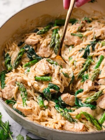 One Pot Chicken Orzo Recipe
