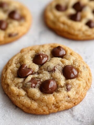 Classic Sourdough Discard Chocolate Chip Cookies Recipe