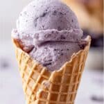 Easy Homemade No-Churn Blueberry Ice Cream Recipe