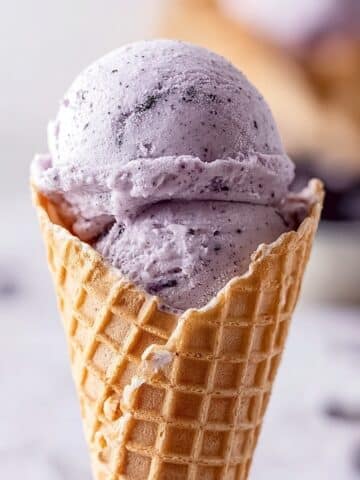 Easy Homemade No-Churn Blueberry Ice Cream Recipe