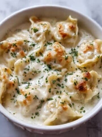 White Lasagna Soup Recipe