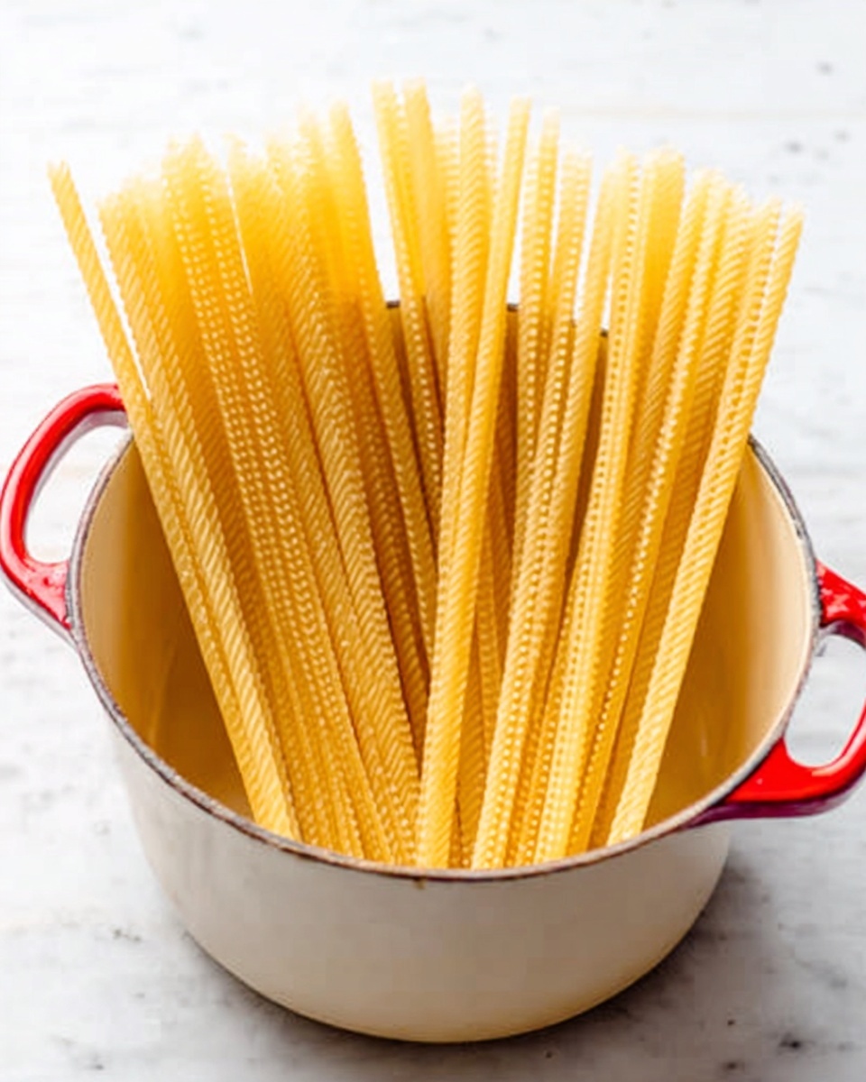 The image shows a white pot with a red handle on a white marbled surface. Inside the pot, there are long, pale yellow pasta noodles standing upright, with their edges looking slightly wavy and textured. The noodles have a smooth, dry look, filling the pot almost fully from the bottom up, and the light coming from behind highlights their length and straight form. The background behind the pot is very bright, creating a clean and fresh feel. photo taken with an iphone --ar 4:5 --v 7