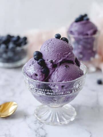 Fresh Blueberry Ice Cream Recipe