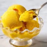 Creamy Mango Sorbet Recipe