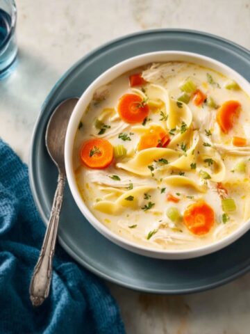 Creamy Chicken Noodle Soup Recipe
