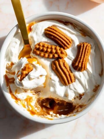 Viral Biscoff Yogurt Cheesecake (2-Ingredient Recipe) Recipe
