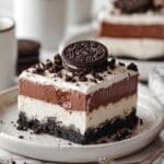 Easy No Bake Oreo Ice Cream Dessert Recipe