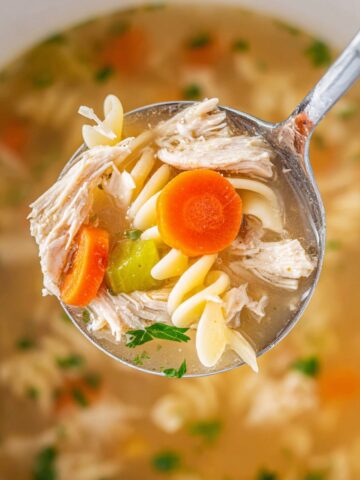 Crockpot Chicken Noodle Soup Recipe