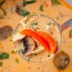 Crockpot Thai Coconut Chicken Soup Recipe