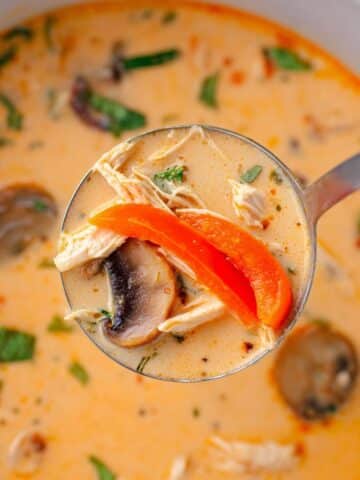 Crockpot Thai Coconut Chicken Soup Recipe