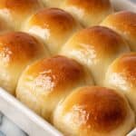 Sourdough Rolls Recipe