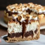 S'Mores Cheesecake Recipe