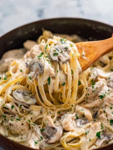 Chicken Fettuccine Alfredo Recipe