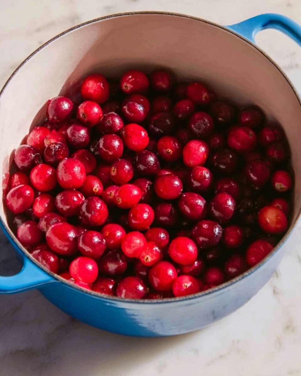 The image shows a white pot filled with many small, round, red cranberries. The cranberries are shiny and fresh, covering the entire inside of the pot. The pot has a blue outside and is placed on a white marbled surface. The light reflects softly on the fruit, giving a fresh and clean look photo taken with an iphone --ar 4:5 --v 7