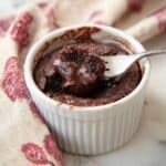 Vegan Mug Brownie Recipe