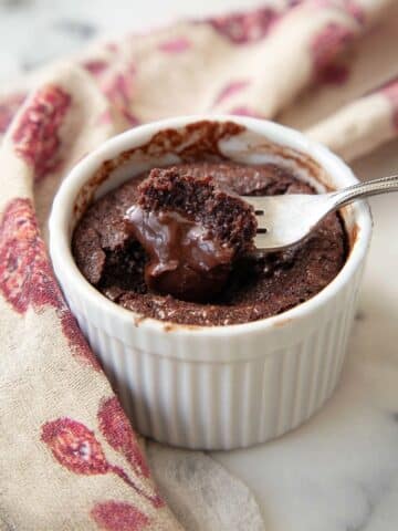 Vegan Mug Brownie Recipe