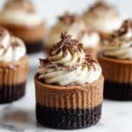 Mini Triple Chocolate Cheesecake Bites Recipe