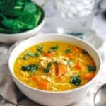 Creamy Coconut Curry Chicken & Vegetable Soup Recipe