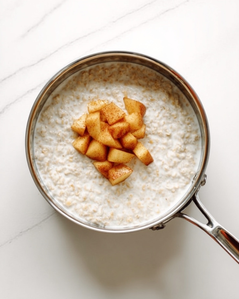 A shiny silver saucepan filled with white oatmeal that has a creamy texture and small grain pieces, topped with a small pile of light brown cooked apple chunks with a soft, slightly shiny surface, sitting on a white marbled surface, photo taken with an iphone --ar 4:5 --v 7