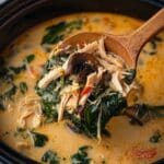 Slow Cooker Thai Coconut Chicken Soup Recipe