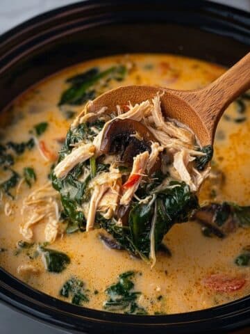 Slow Cooker Thai Coconut Chicken Soup Recipe