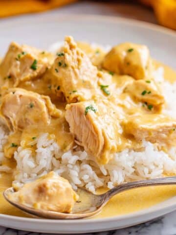 Crock Pot Chicken and Gravy Recipe