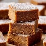 Apple Cider Blondies Recipe
