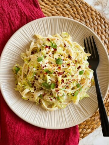 Vegan Cabbage Alfredo Recipe