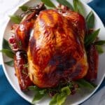 Easy Turkey Brine Recipe (Dry and Wet Brine Instructions) Recipe