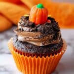 Pumpkin Patch Cupcakes Recipe