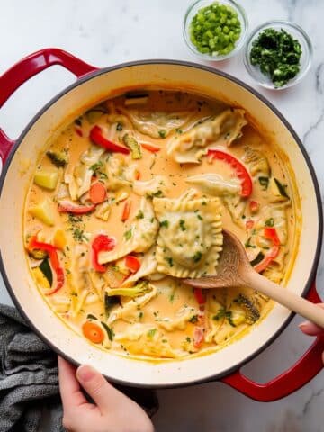 Red Curry Dumpling Soup Recipe