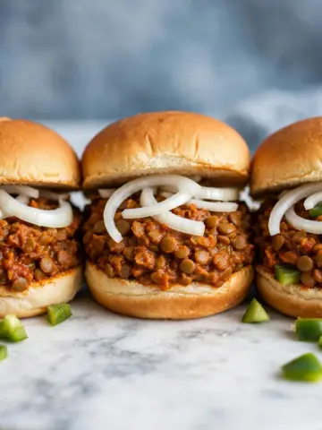 Vegan Sloppy Joes Recipe 13 Vegan Sloppy Joes Recipe